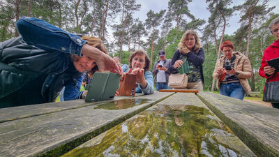 11367f68-smartphone-juni-2024-35-1024x577 11367f68-smartphone-juni-2024-35-1024x577