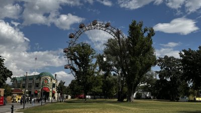 img-8754